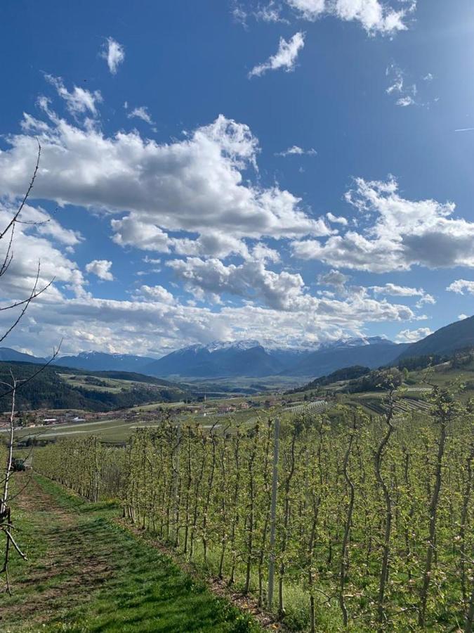 Agritur Maso Forcola Βίλα Brez Εξωτερικό φωτογραφία