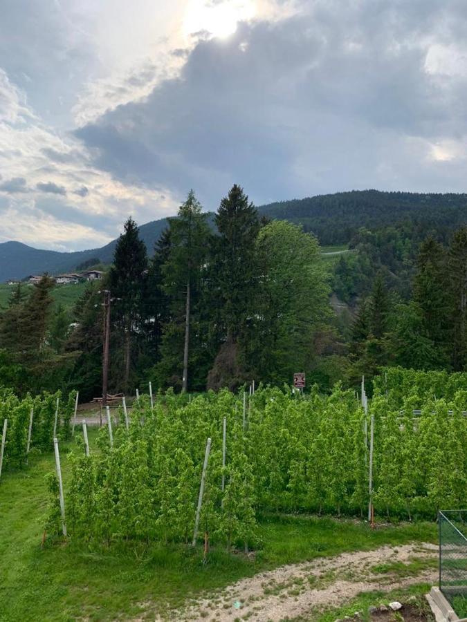 Agritur Maso Forcola Βίλα Brez Εξωτερικό φωτογραφία