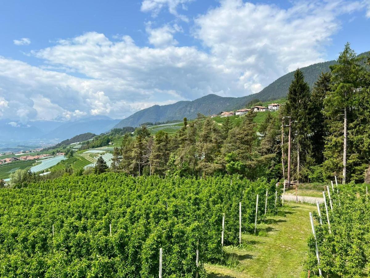 Agritur Maso Forcola Βίλα Brez Εξωτερικό φωτογραφία