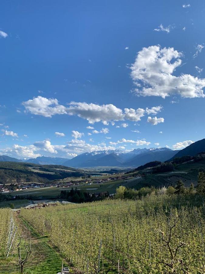 Agritur Maso Forcola Βίλα Brez Εξωτερικό φωτογραφία
