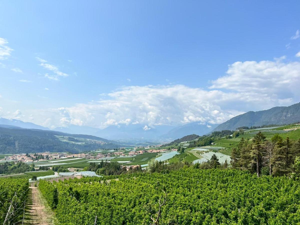 Agritur Maso Forcola Βίλα Brez Εξωτερικό φωτογραφία