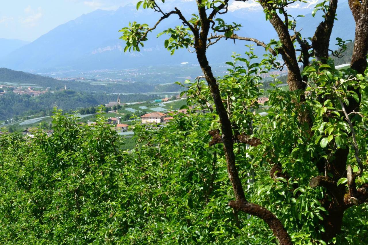 Agritur Maso Forcola Βίλα Brez Εξωτερικό φωτογραφία
